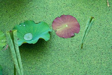 Steam新作《汽车美容模拟器》发售日公开 支持简中